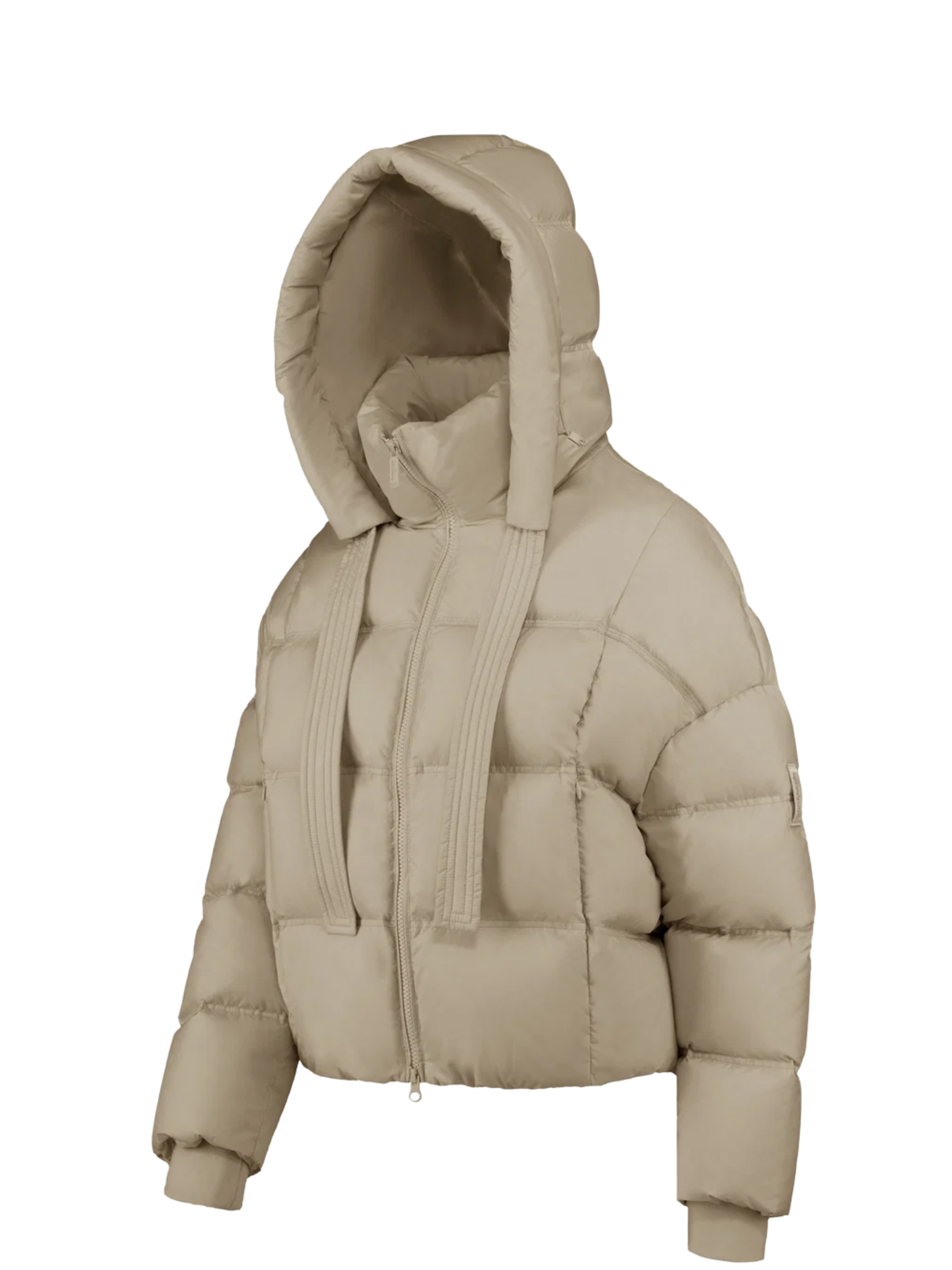 Ingrandisci