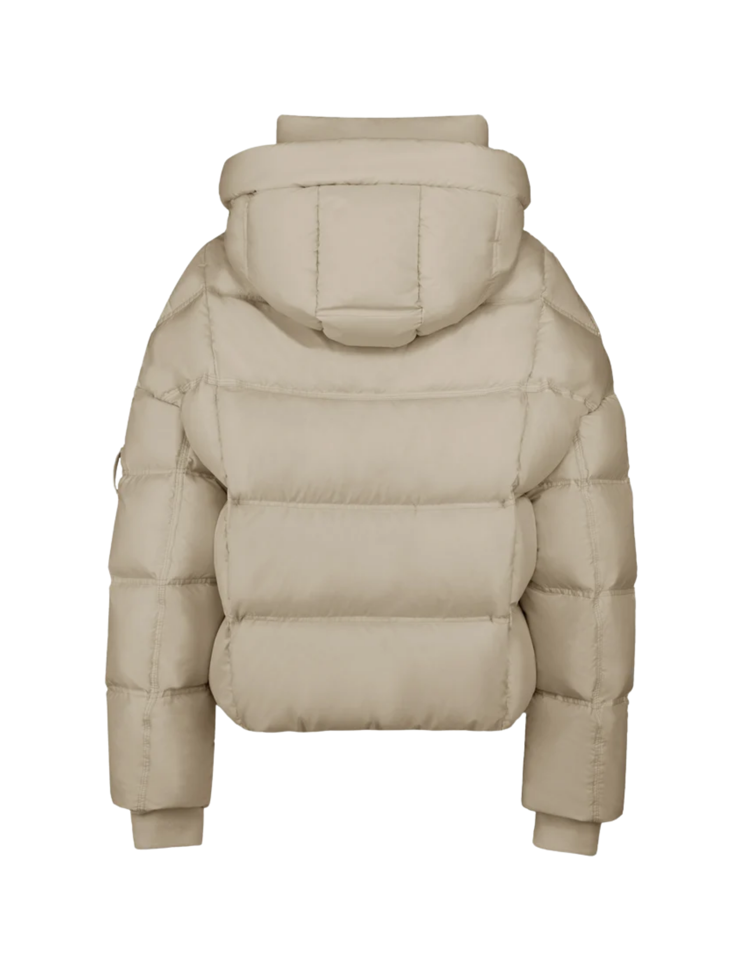 Ingrandisci