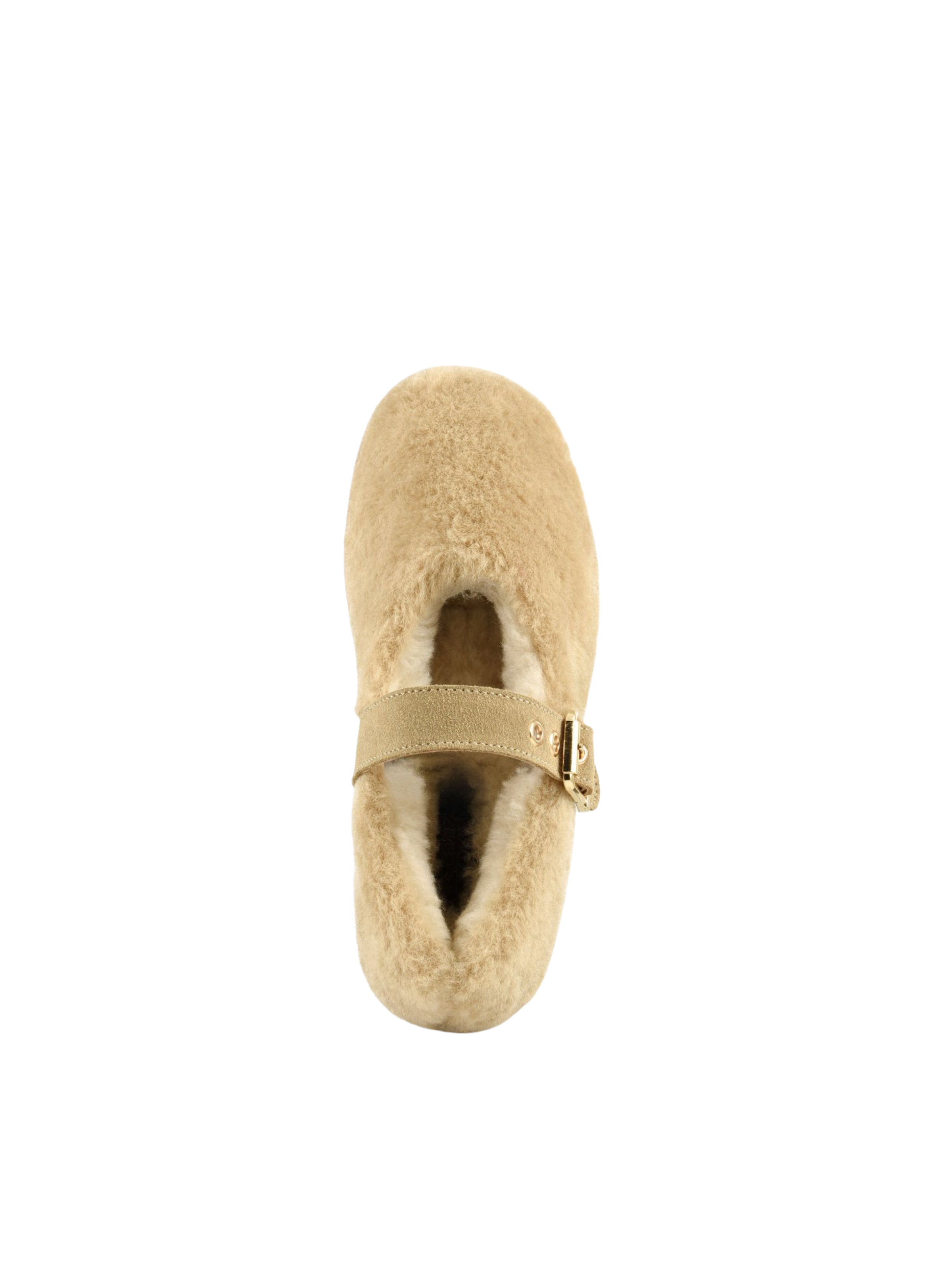 Ingrandisci