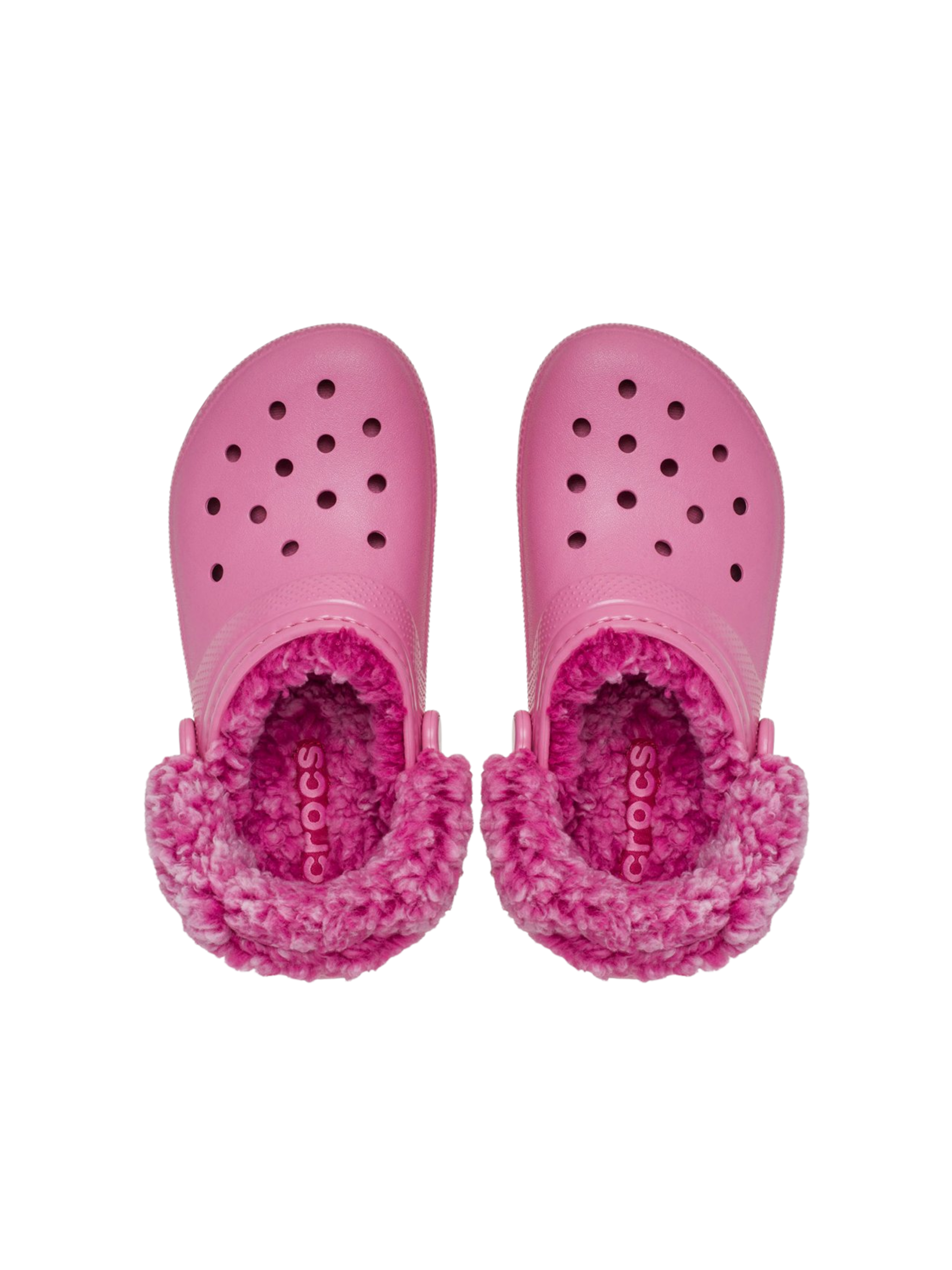 Ingrandisci
