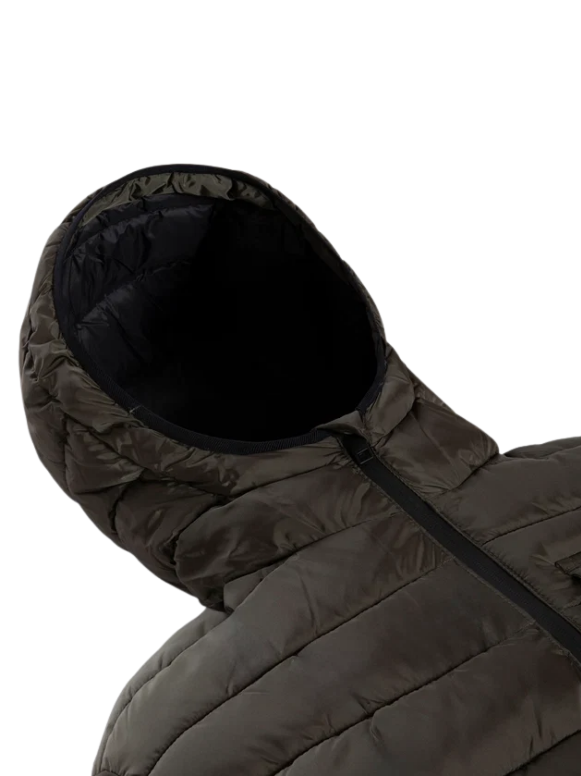 Ingrandisci