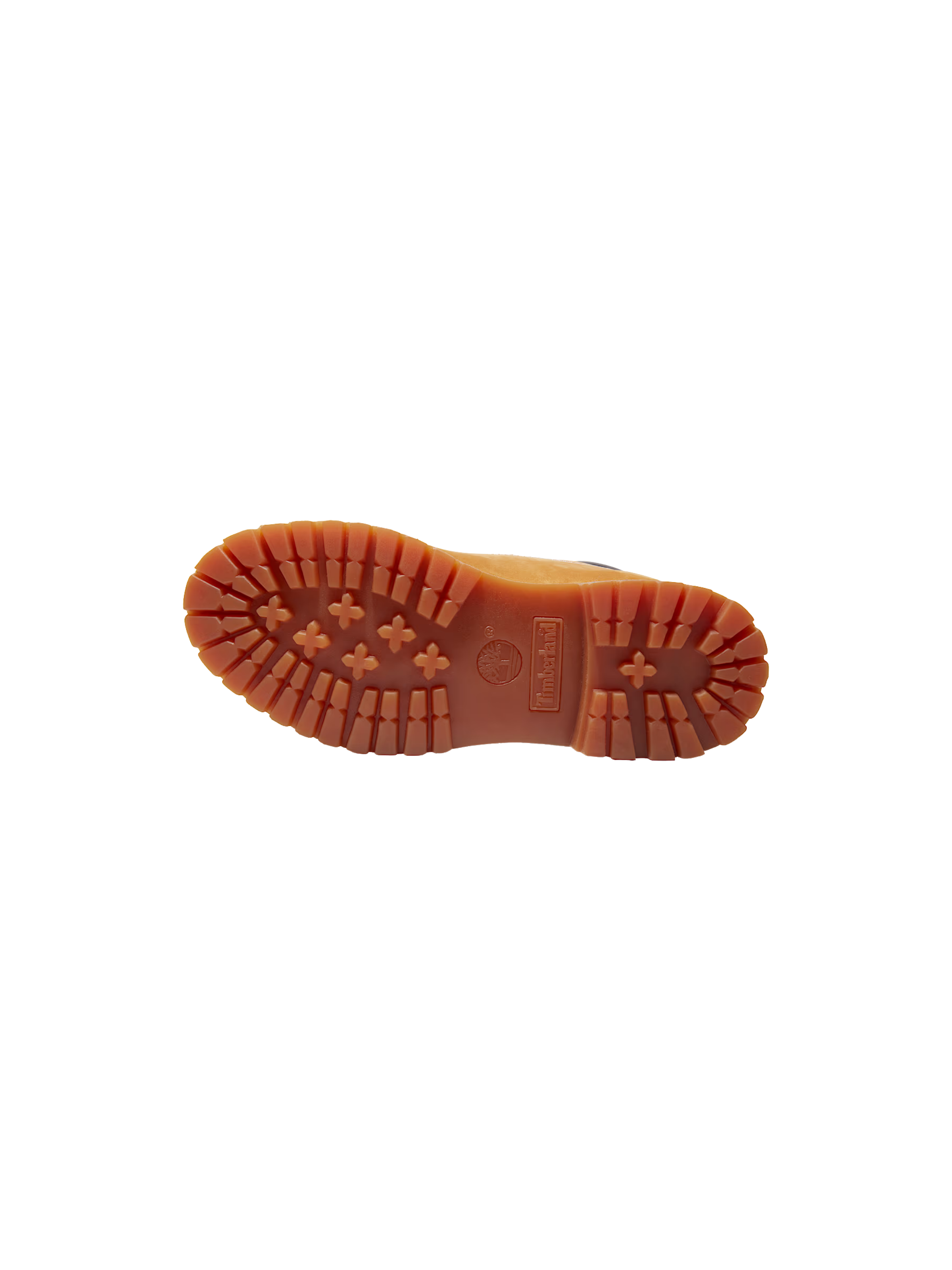 Ingrandisci