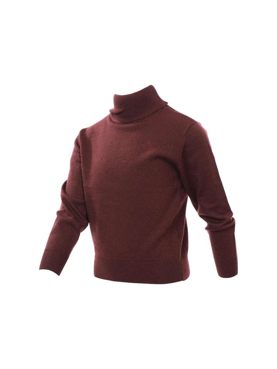 Maglioncino collo alto borgogna TBA23013LU ANDORRA Trussardi 