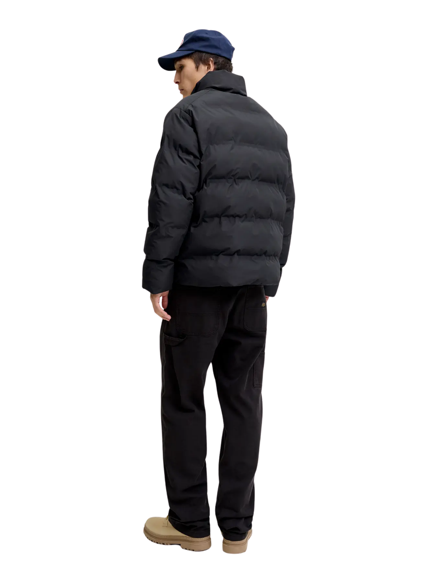 Giubbino Jack & Jones nero 12278750 Black Jack & Jones 