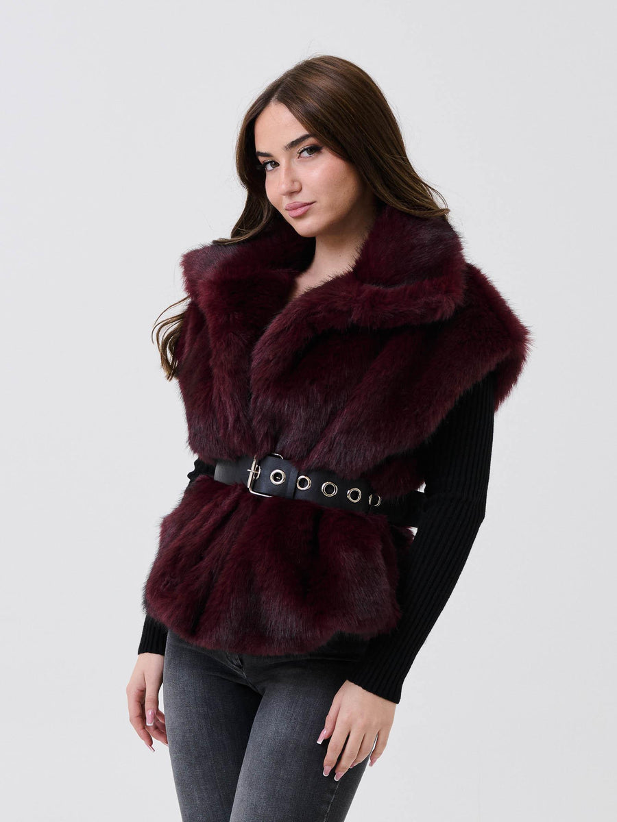 Ecopelliccia smanicata Armoire bordeaux 049 BORDEAUX Armoire 