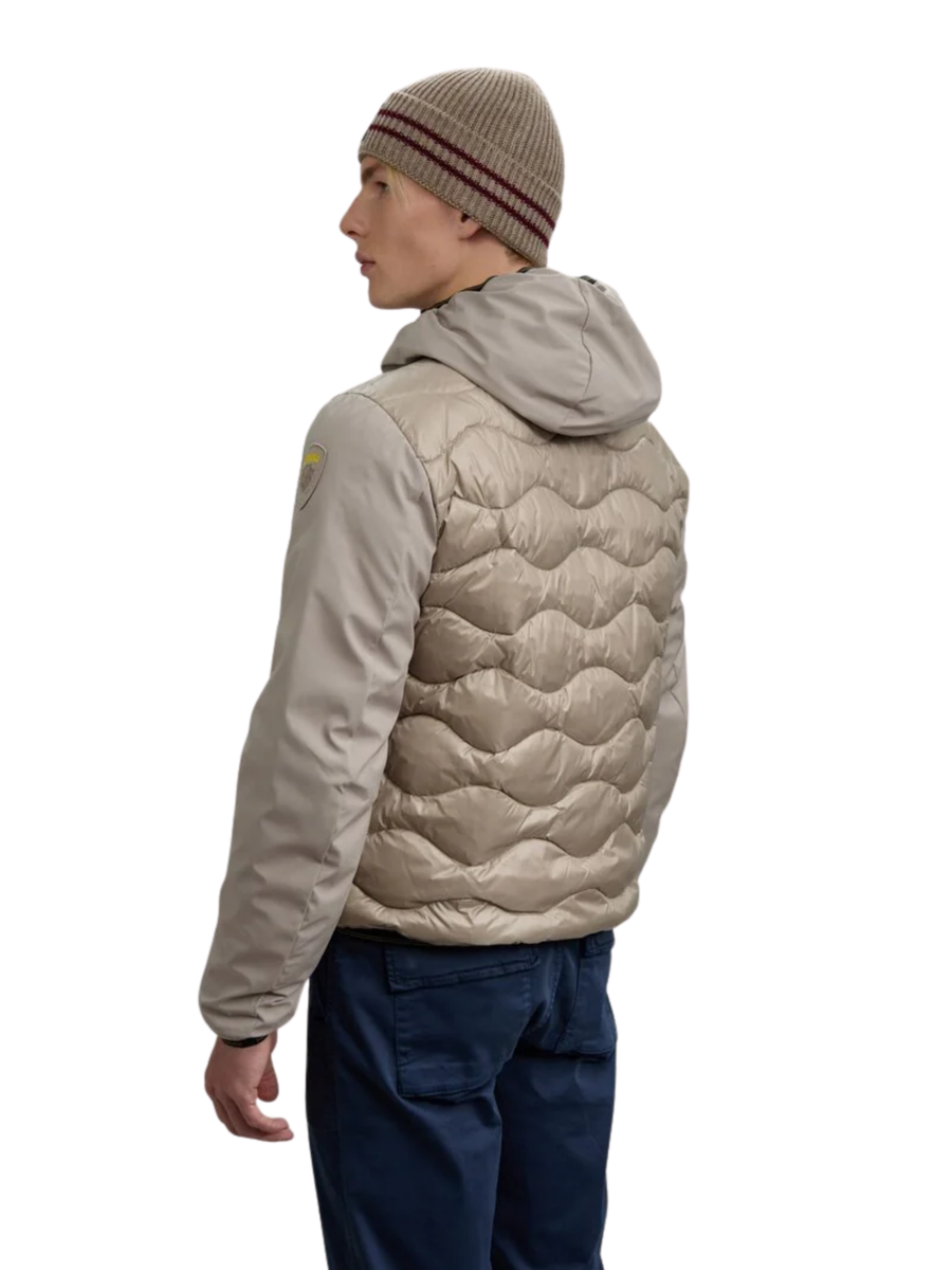 Giubbino "Albert" Blauer beige BLUC08078 301 Blauer 