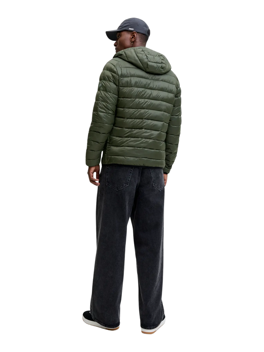 Giubbino Jack & Jones verde 12280970 Rosin Jack & Jones 