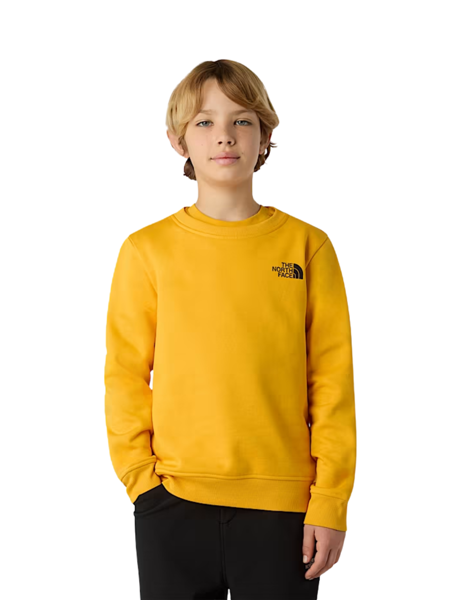 Felpa "Nse" The North Face senape NF0A89H7 56P1 The North Face 