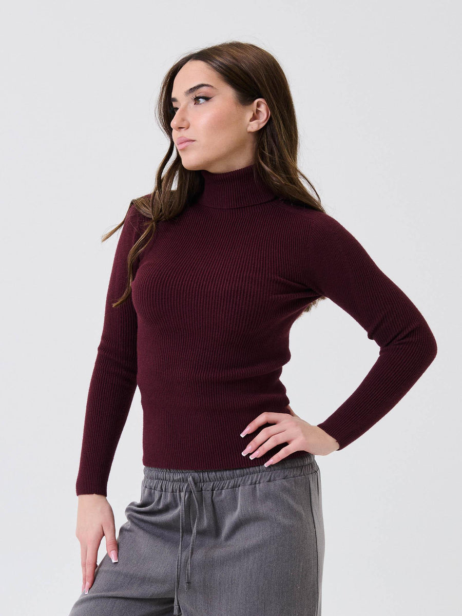 Maglione a collo alto Armoire vino a costine 683 VINO Armoire 