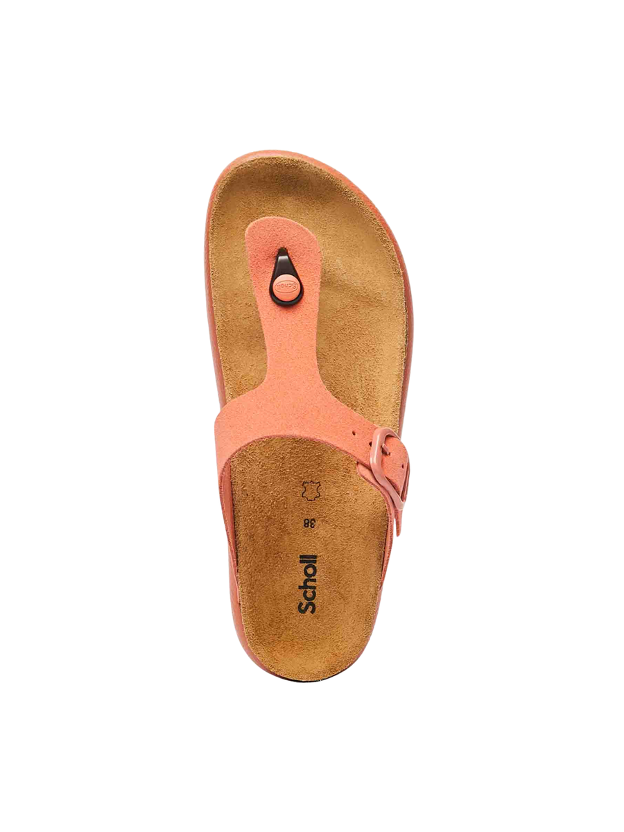 Sandali "anais chunky" Scholl corallo SL.F322531209 CORA Scholl 