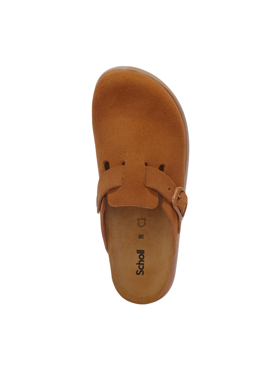 Zoccoli "fae chunky" Scholl cognac SL.F322571175 COGN Scholl 